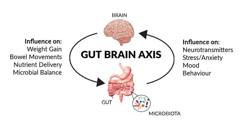 Your Gut Bacteria Might Be Controlling Your Depression – New Research Find