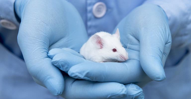 Researchers Discover CRISPR Gene-Editing System in Bacterial Immune Systems