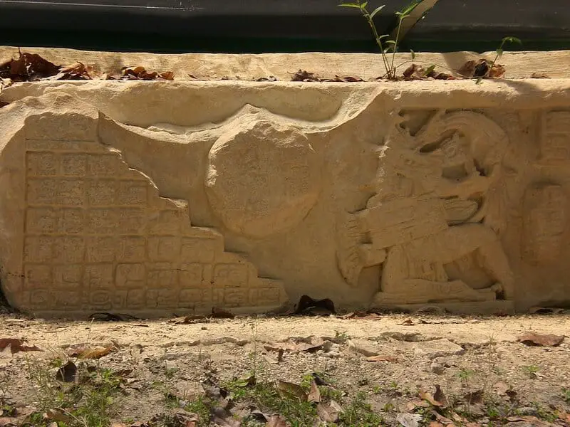 Ancient Amazonians Built 6,000 Connected Platforms – Lost Civilization Found