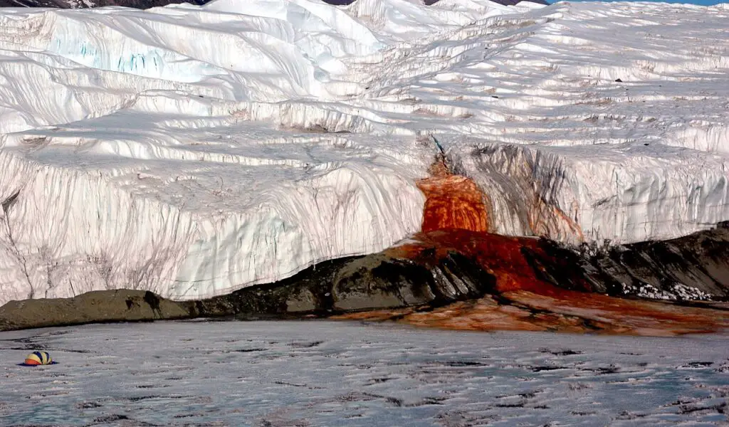 15 Times Nature Defied Science
