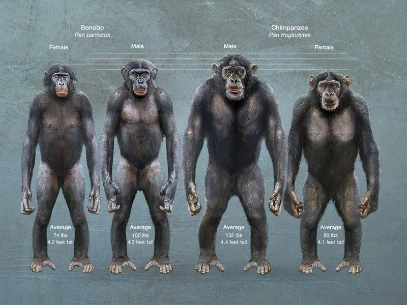 The 23 “Science Facts” Everyone Still Believes That Are Actually Complete Nonsense