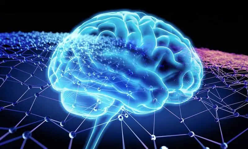 Scientists Map 140,000 Neurons in Fruit Fly Brain – Here’s What It Reveals About Human Memory