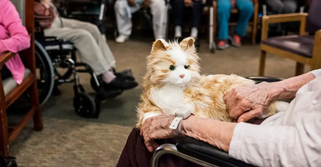 Why Your Cat’s Purr Is Literally Healing You—The Frequency That Repairs Bones
