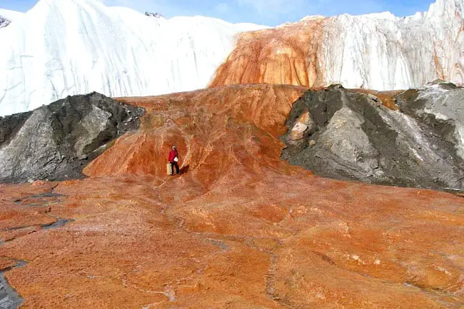 Antarctica Is Bleeding Red—And It’s Not What Climate Scientists Expected