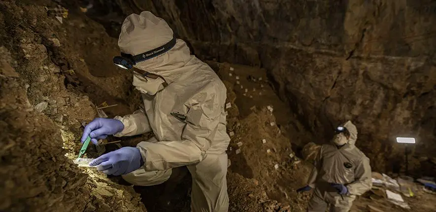 Breaking Ice: Revolutionary Discoveries Reveal Antarctica’s Hidden Biological Treasures