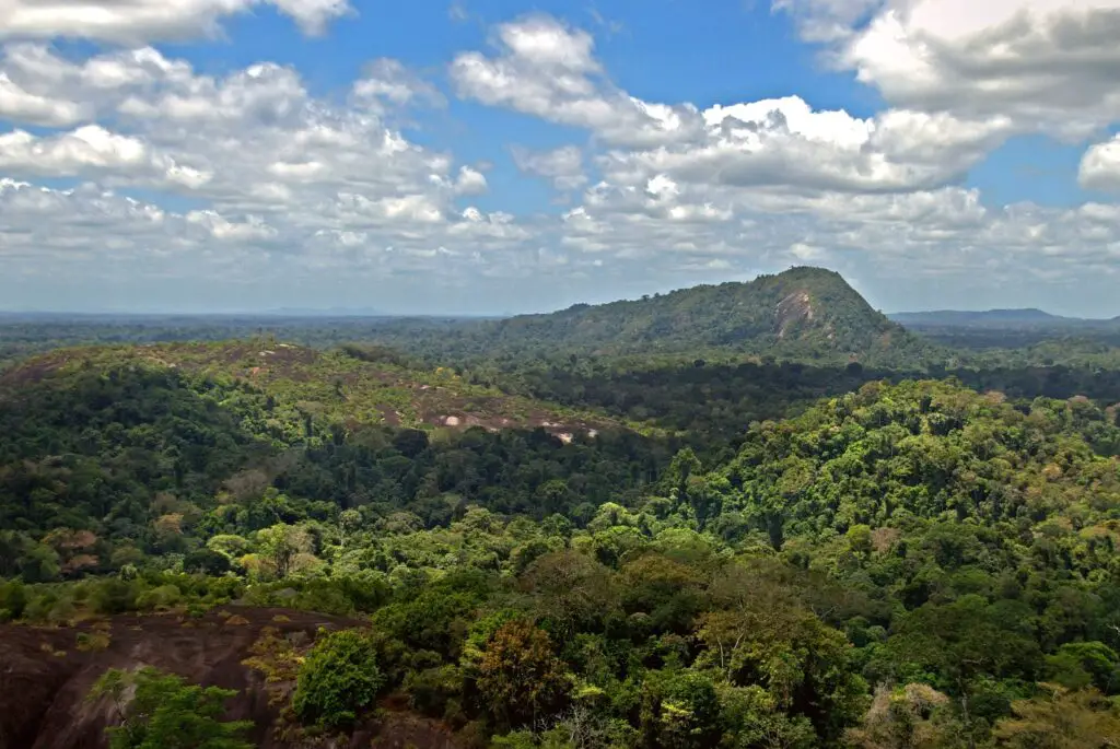 Ancient Amazonians Built 6,000 Connected Platforms – Lost Civilization Found