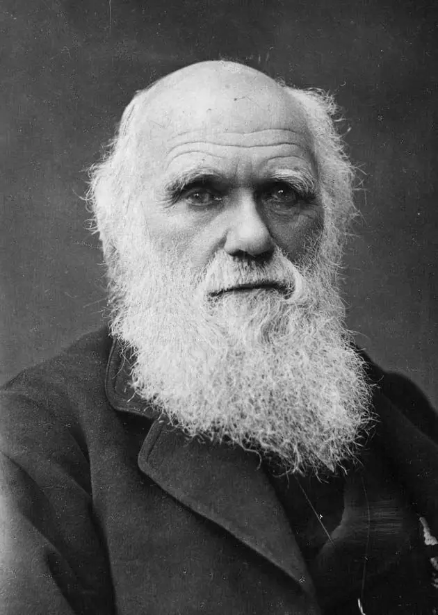 The Darwin Experiments You Never Learned About in School
