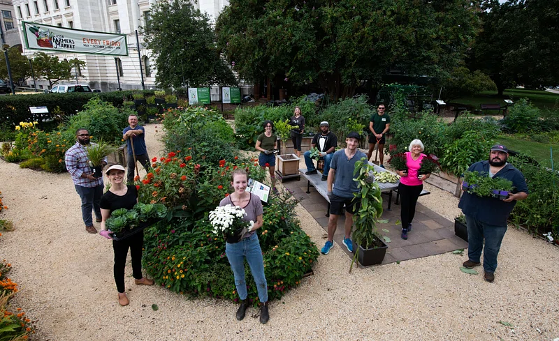 The Volunteer Work That Actually Extends Your Lifespan (Research Proves It)
