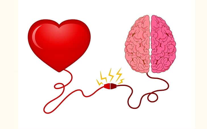 Scientists Discovered a “Second Brain” in Your Heart—And It Remembers Everything