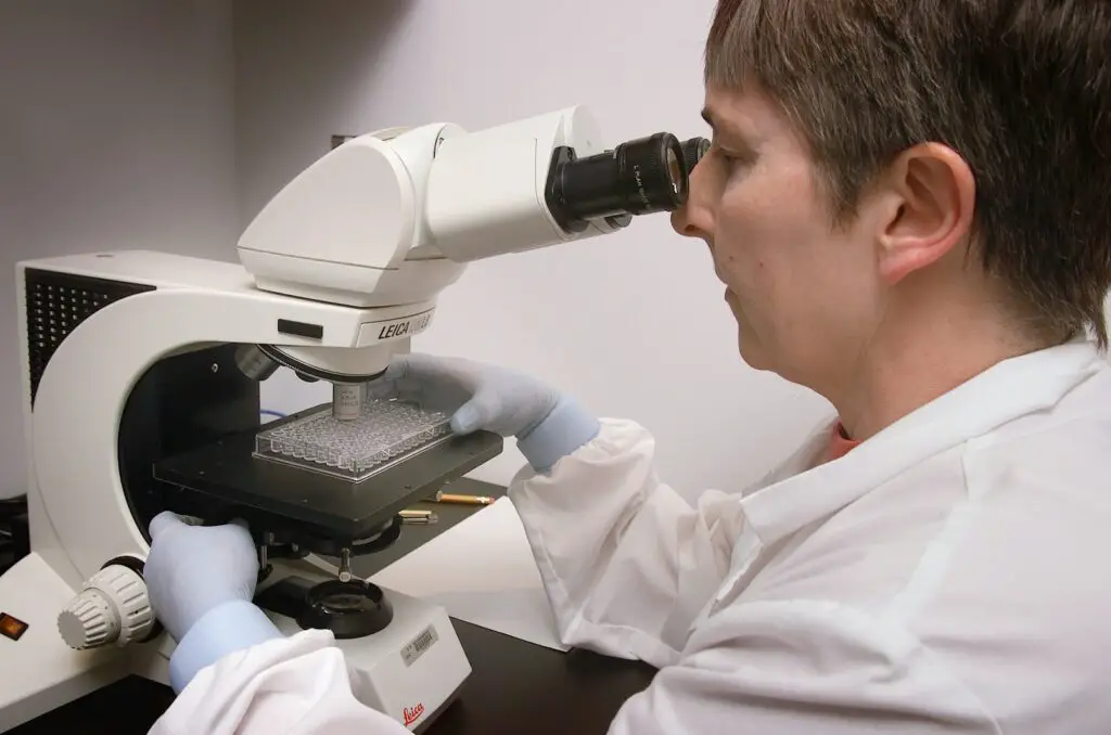 The Lab Accident That Changed Everything We Know About Human Evolution