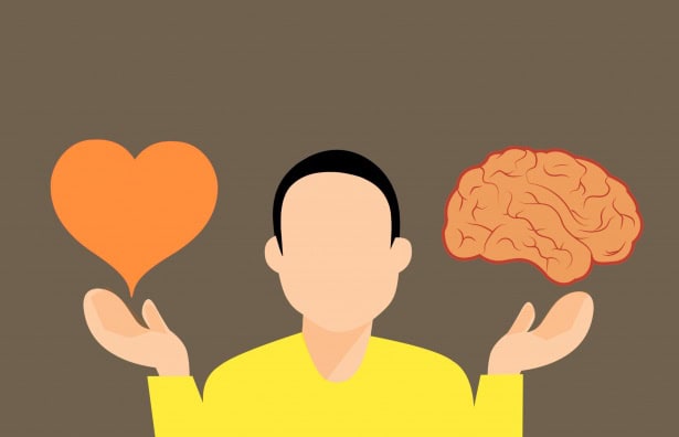 Scientists Discovered a “Second Brain” in Your Heart—And It Remembers Everything