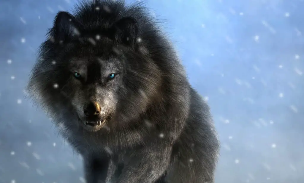 Why Scientists Are Officially Debunking the “Alpha Wolf” Theory—And What It Means for Leadership