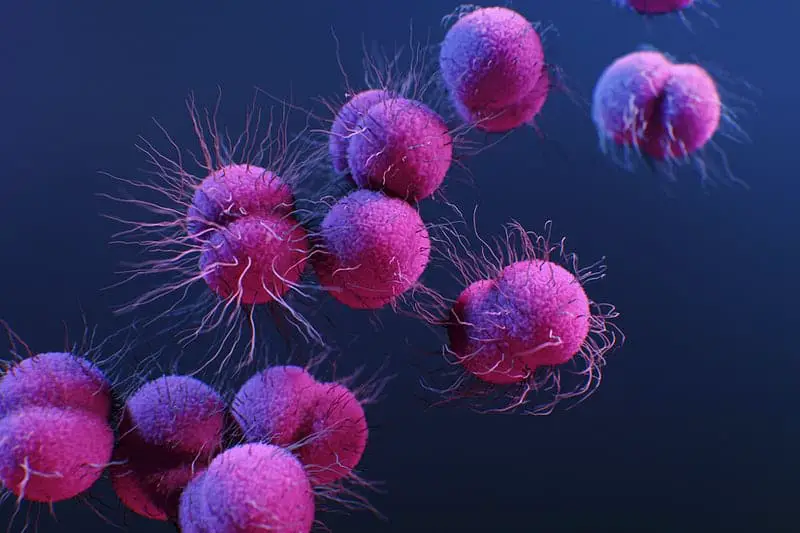 The Gut Health Revolution: How Probiotics Work Differently in Younger and Older Bodies