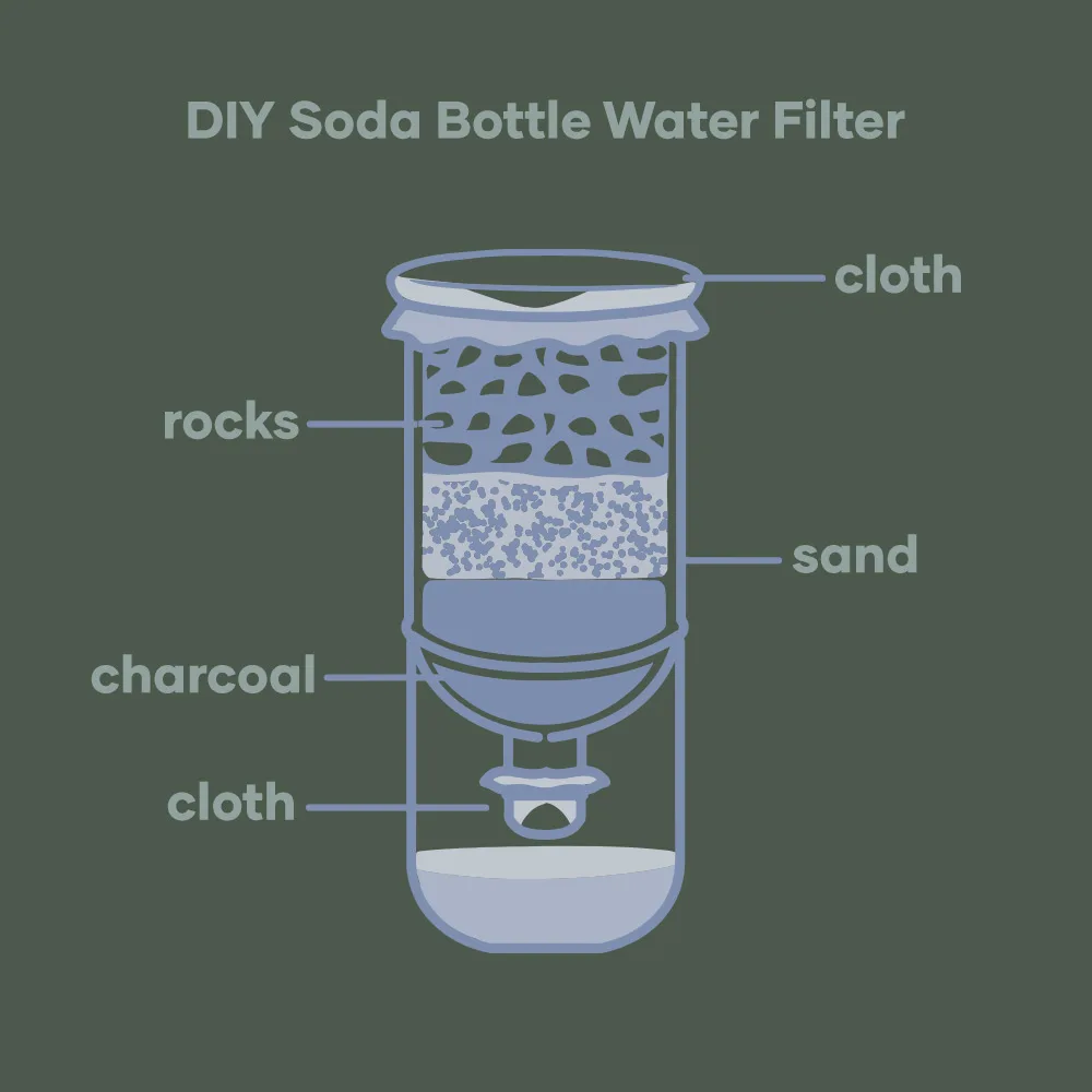 15 Classic Science Fair Projects That Still Win Prizes