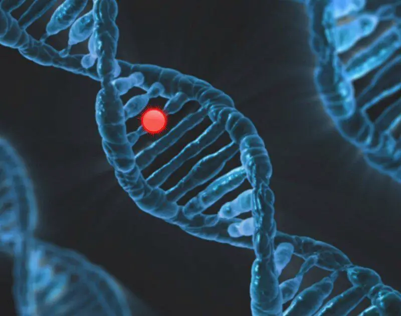 15 New Ways Scientists Are Reversing Aging in the Lab
