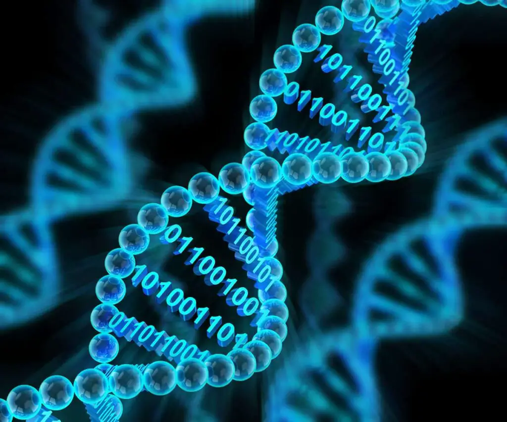 Top 15 Most Bizarre Uses for DNA