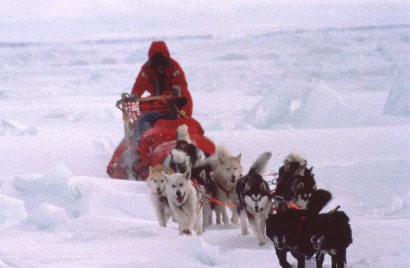 Antarctica Is Bleeding Red—And It’s Not What Climate Scientists Expected