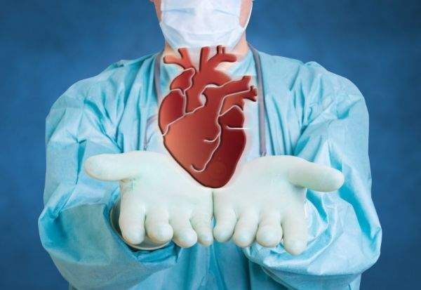 Scientists Discovered a “Second Brain” in Your Heart—And It Remembers Everything