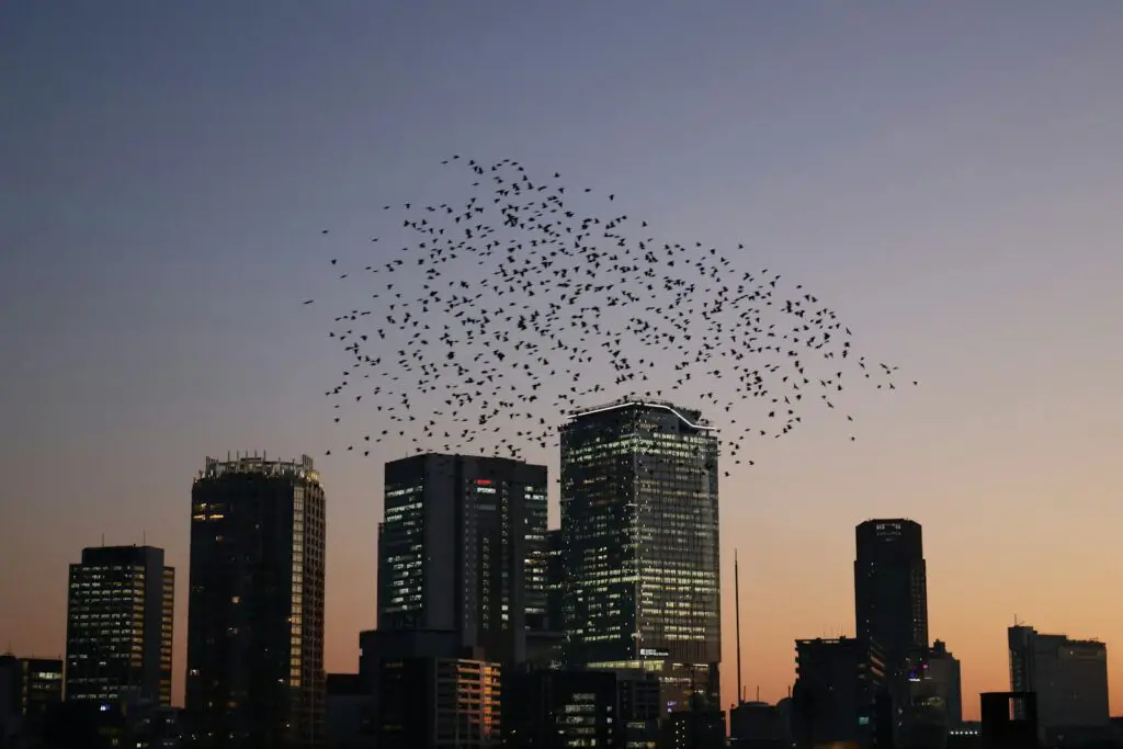 I Followed Migrating Birds for 3 Years: 24 Mind-Blowing Navigation Secrets They Use