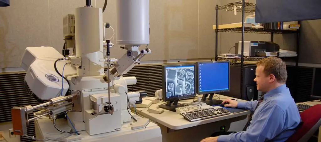 Scientists Map 140,000 Neurons in Fruit Fly Brain – Here’s What It Reveals About Human Memory