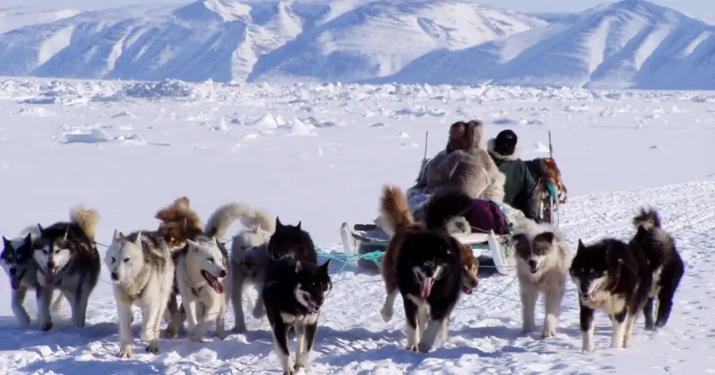 Arctic Gold Rush: Mapping the Polar Region’s Untapped Resources and Scientific Secrets