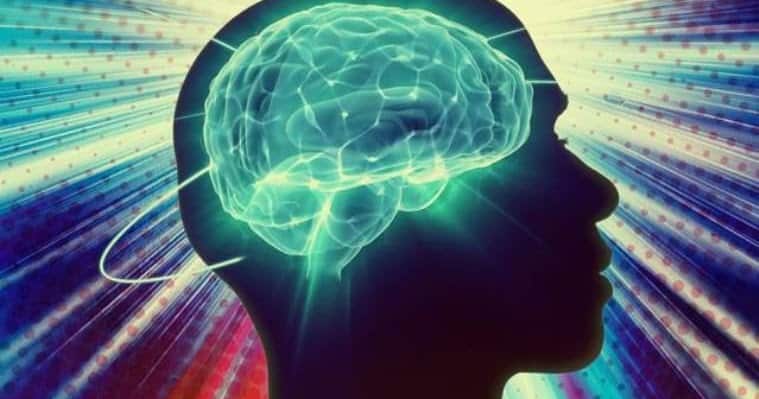 Scientists Map 140,000 Neurons in Fruit Fly Brain – Here’s What It Reveals About Human Memory