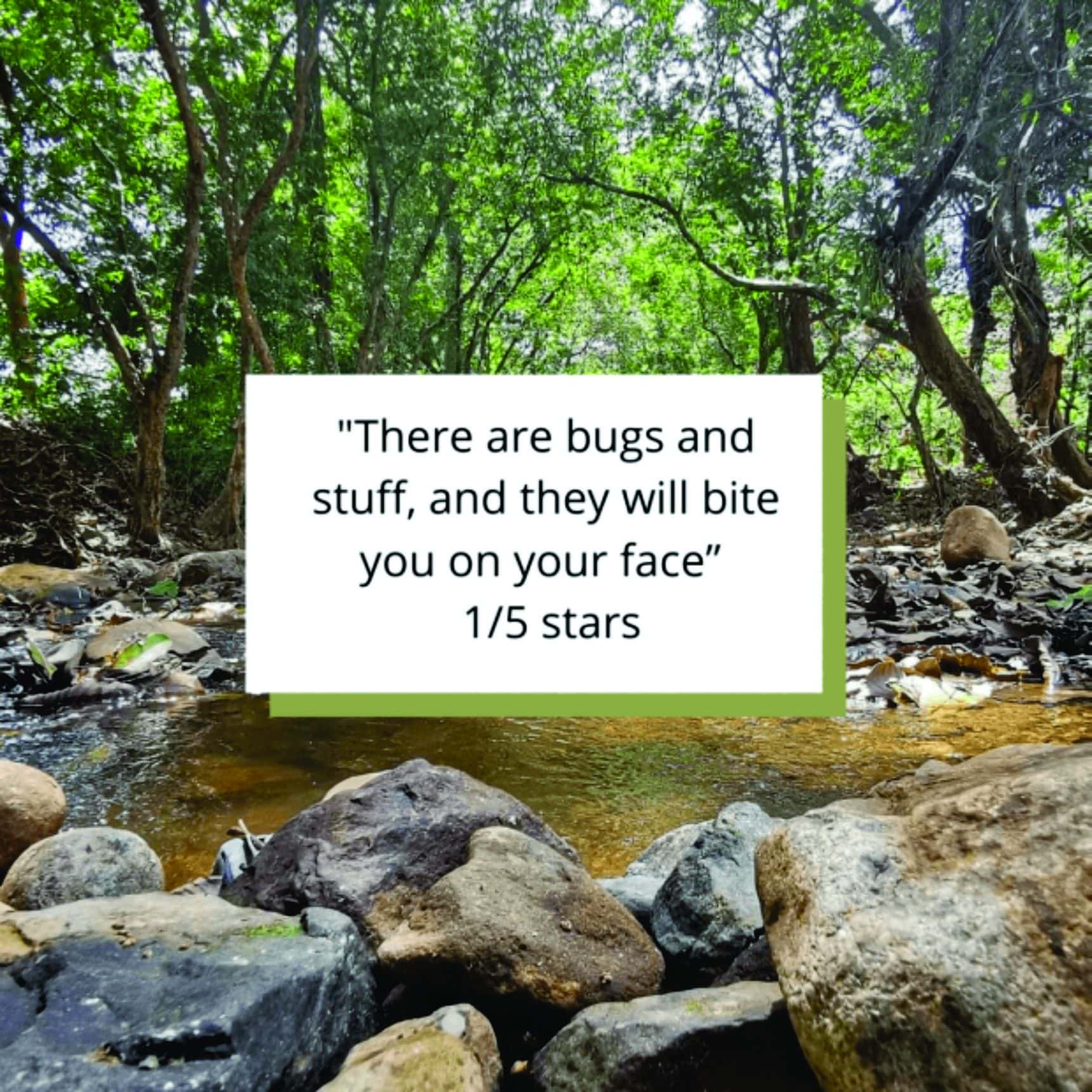 Uncovering the World’s Most Ridiculously Petty Reviews!