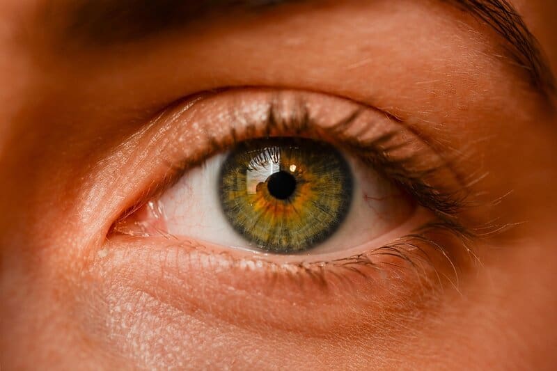 15 Mind-Blowing Genetic Traits You Didn’t Know You Inherited