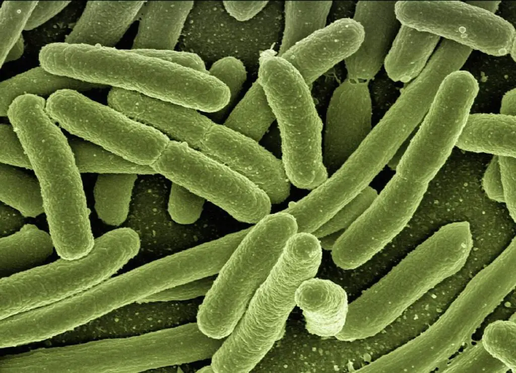 15 Ancient Traits You Still Have From the First Living Cells