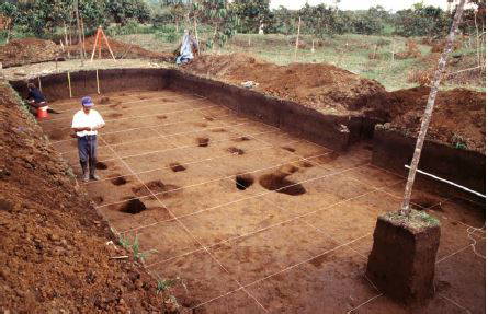 Ancient Amazonians Built 6,000 Connected Platforms – Lost Civilization Found