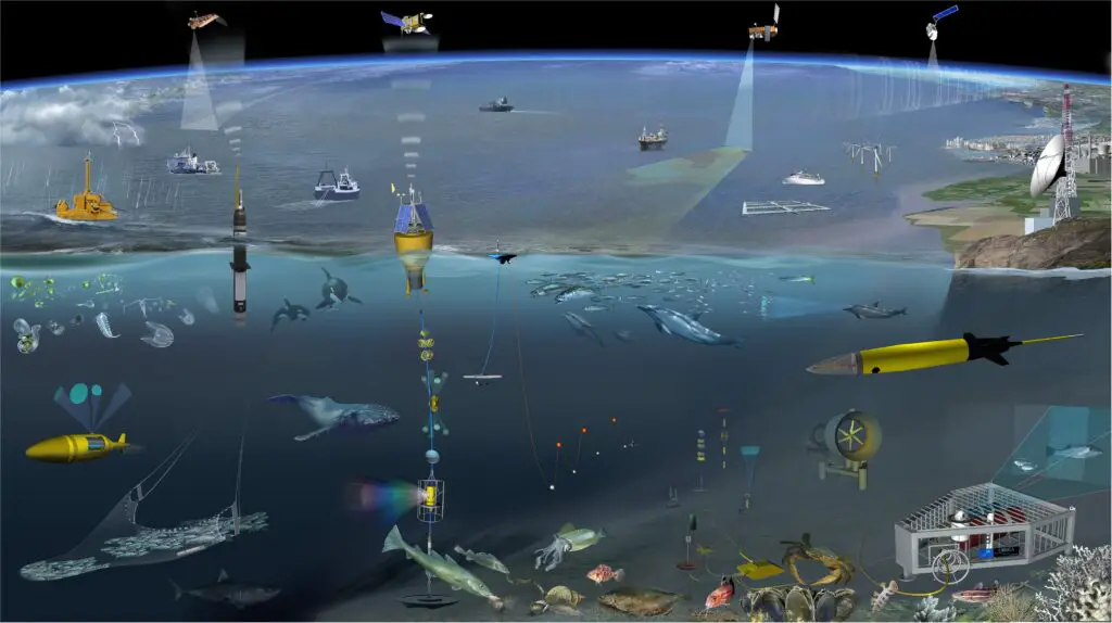 Bone-Eating Worms Have Been Cleaning Ocean Floors for Over 100 Million Years