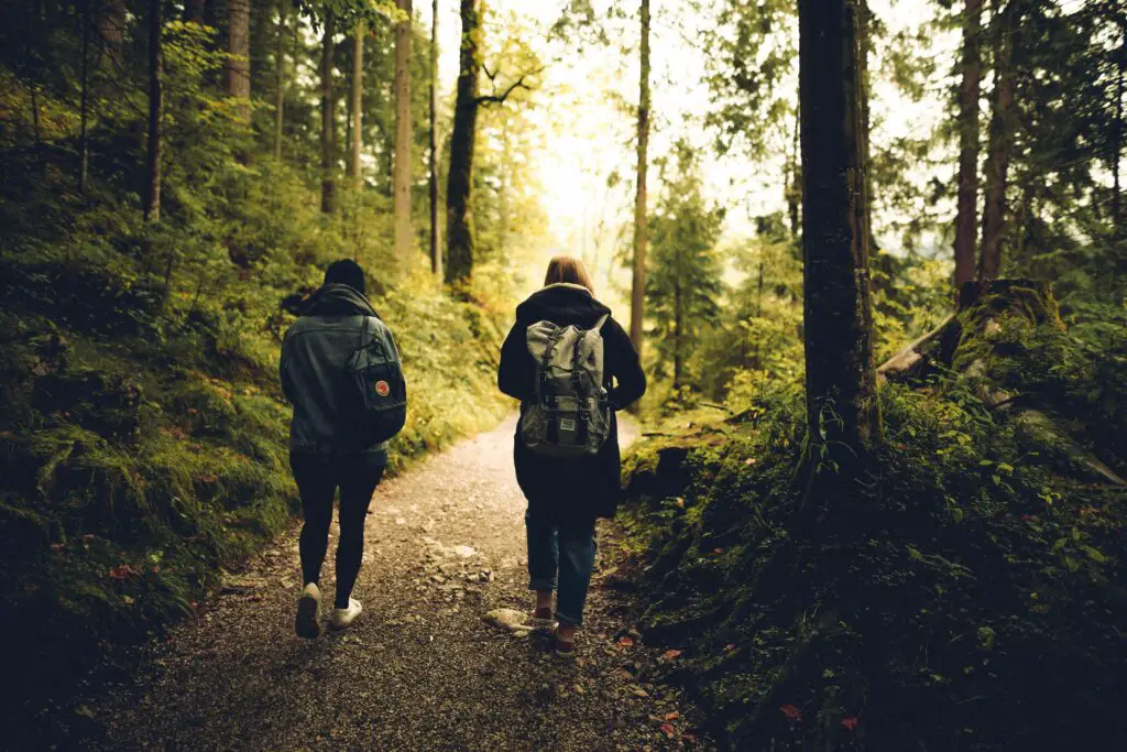 30 Fascinating Insights from Twin Studies: Unraveling the Nature vs. Nurture Debate