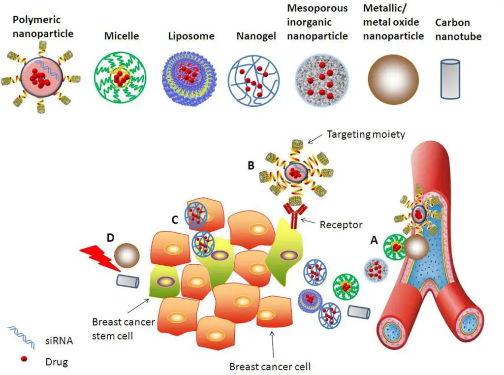 Scientists Built a Computer Out of DNA—And It’s Already Solving Cancer