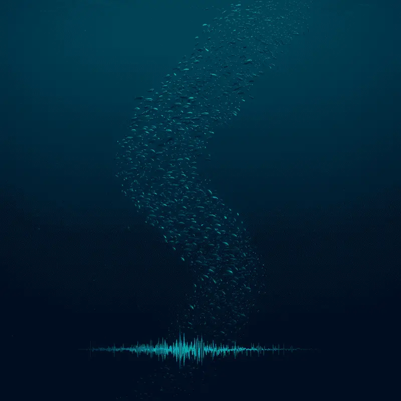 The Ocean’s Greatest Migration Happens Every Night: Trillions of Animals Travel Vertically