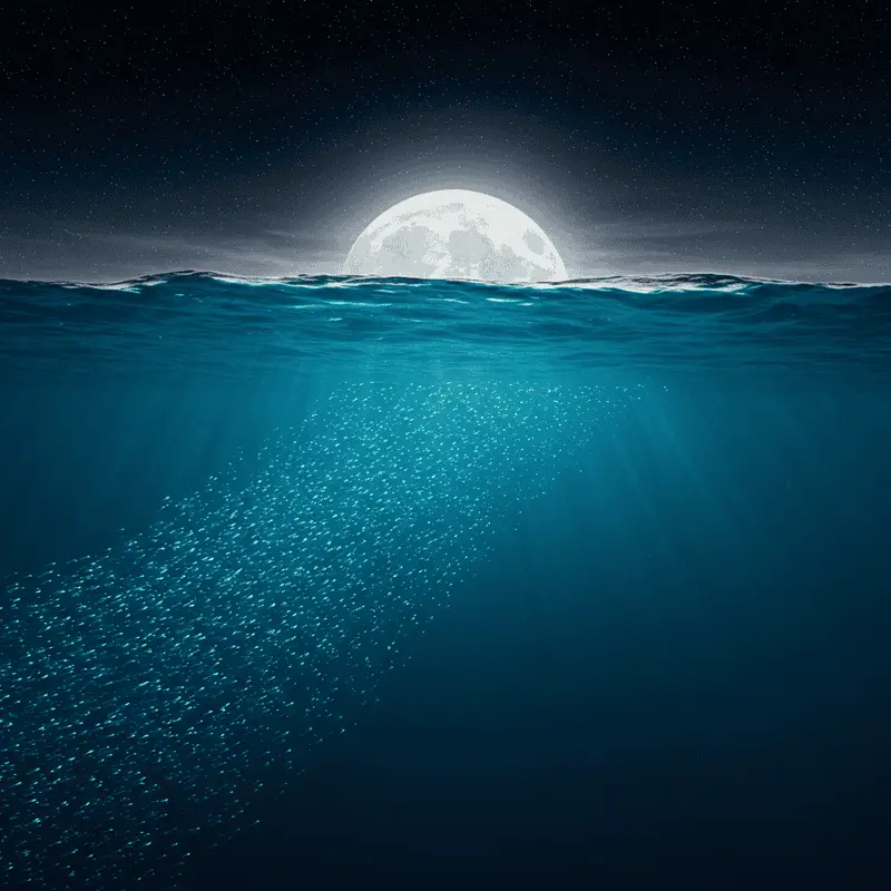 The Ocean’s Greatest Migration Happens Every Night: Trillions of Animals Travel Vertically