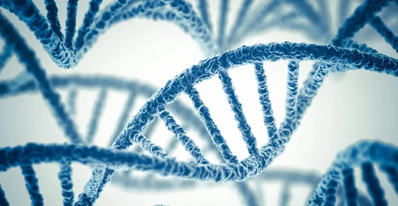 The Lab Accident That Changed Everything We Know About Human Evolution