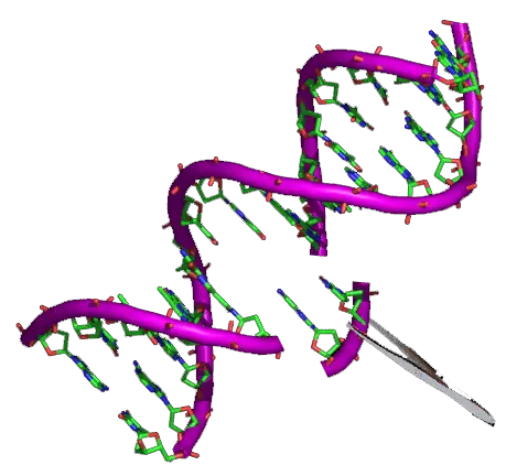 15 Recent Studies That Could Lead to Cures in the Next Decade