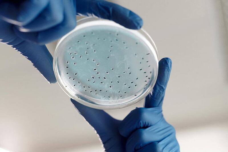 The Bacteria That Eat Plastic Waste Are Evolving Faster Than Expected