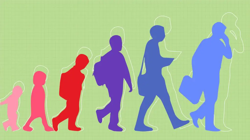 30 Fascinating Insights from Twin Studies: Unraveling the Nature vs. Nurture Debate