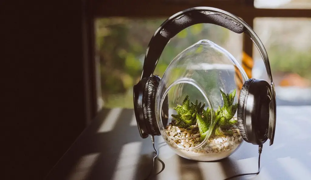 Plants Are Screaming When You Cut Them—We Just Couldn’t Hear It