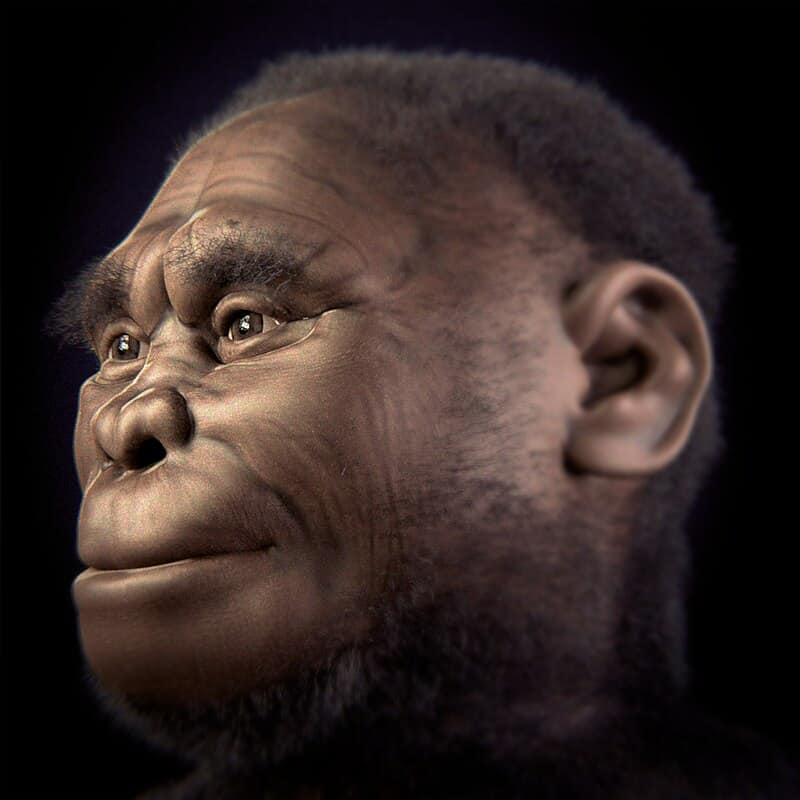 15 Times Human Evolution Took a Weird Turn