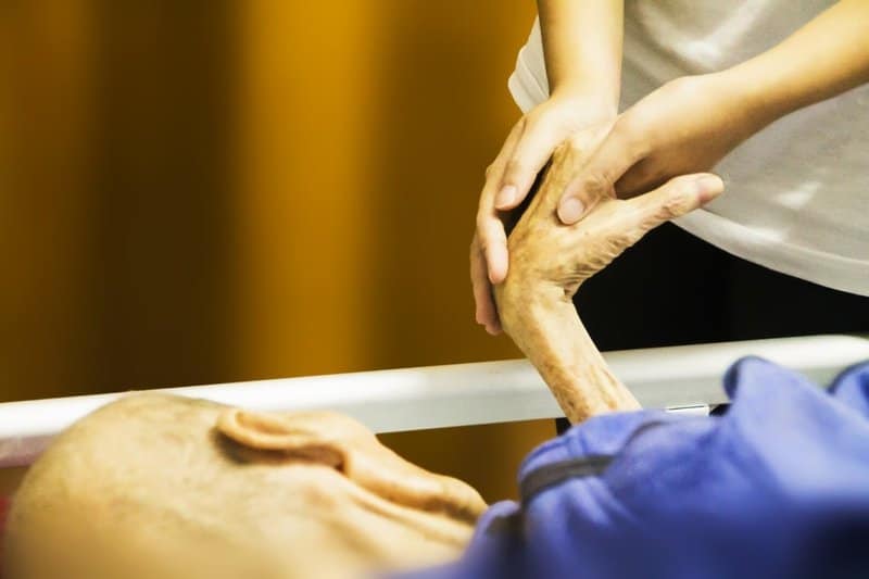 Visions, Visitors, and Final Breaths: What Hospice Workers Witness and How Medicine Explains the Unexplainable