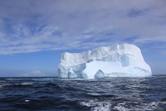 Breaking Ice: Revolutionary Discoveries Reveal Antarctica’s Hidden Biological Treasures