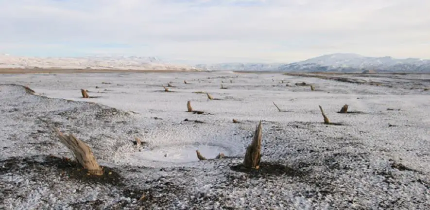 Climate Science Research Reveals Antarctic Greening Signals Rapid Ecosystem Disruption and Climate Tipping Points