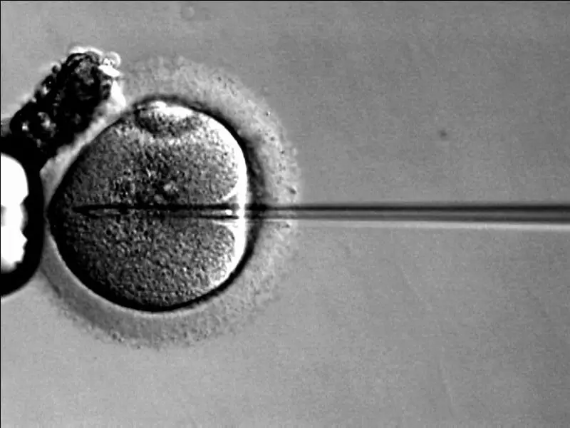 15 Recent Studies That Could Lead to Cures in the Next Decade