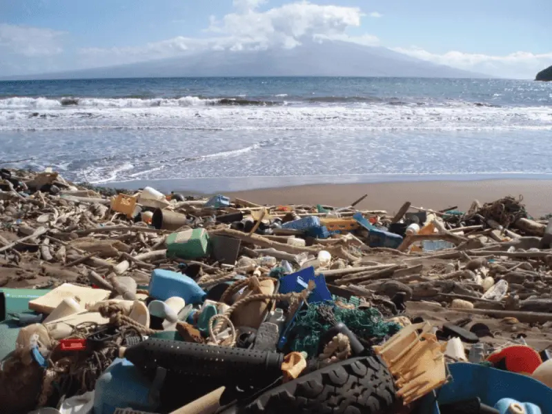 Microplastics Are Literally Raining from the Sky—Even in Remote Mountains