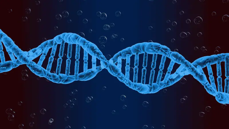 Memory Chips Made of DNA Can Store Data for 1,000 Years