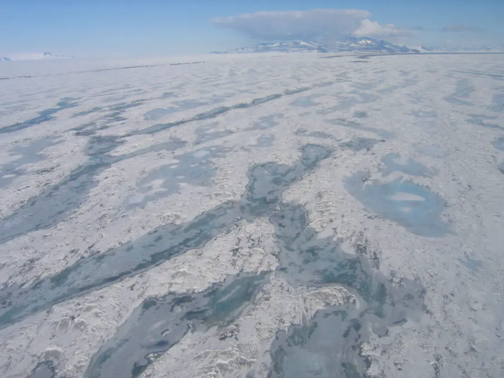 Breaking Ice: Revolutionary Discoveries Reveal Antarctica’s Hidden Biological Treasures