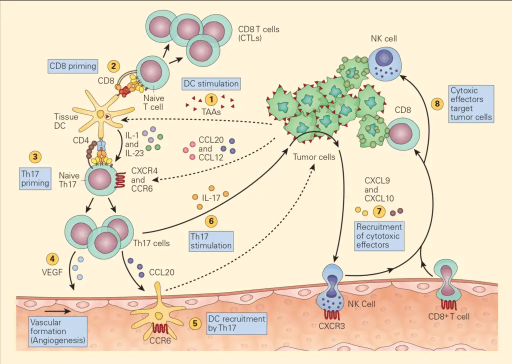 The Virus Living in Your Body Right Now That’s Actually Keeping You Alive