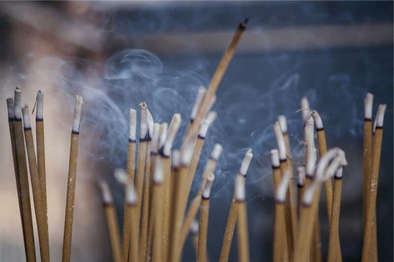 Why Your Sense of Smell Is the Early Warning System for Your Brain
